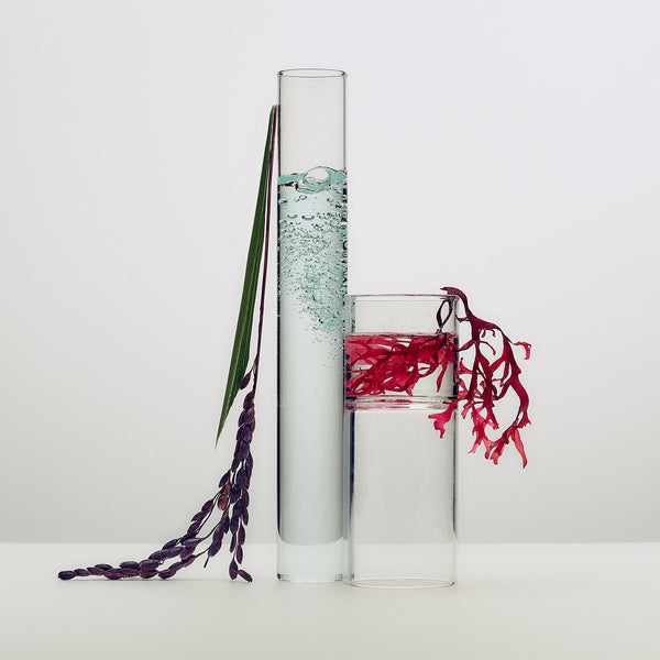 The Dewy Skin Cream